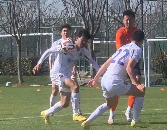 91麻豆免费观看